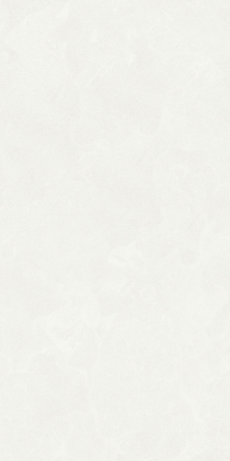 艾尔莎-黄