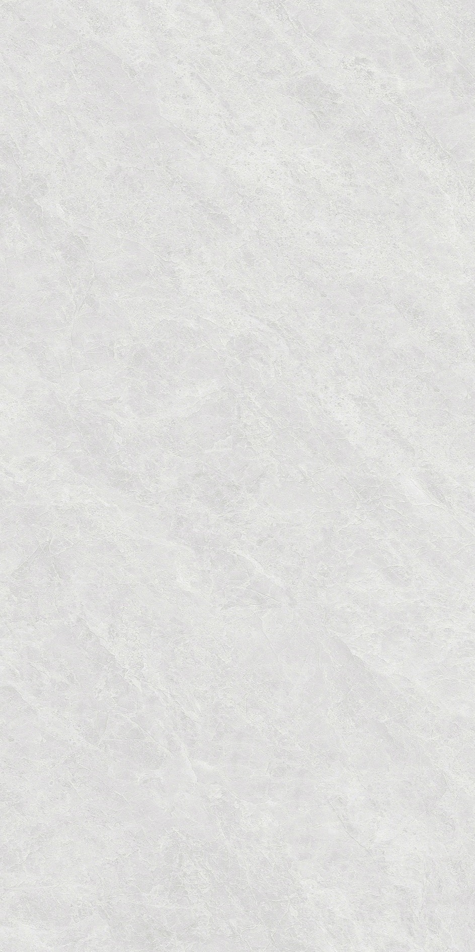 白玉兰